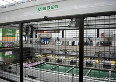 The machine of Visser that can pot over 10.000 youngplants per hour.